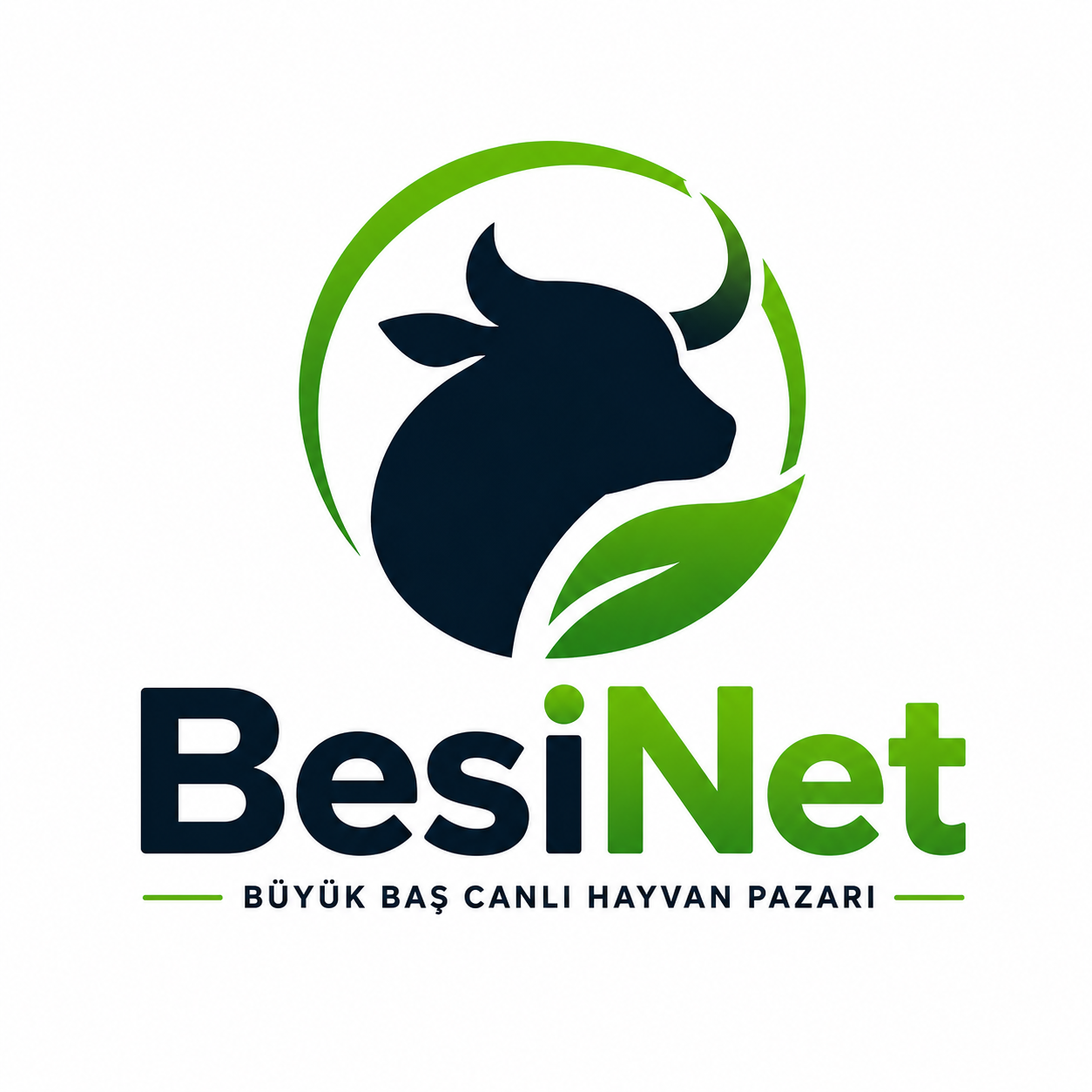 BesiNet logosu